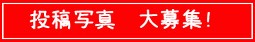 釣りの投稿写真　大募集